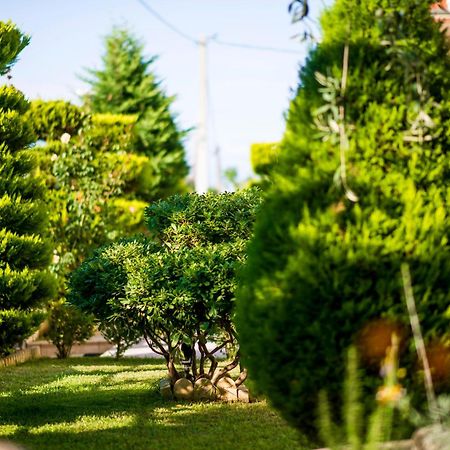 Mandani Villa Luxury Apartments Limenas  Luaran gambar